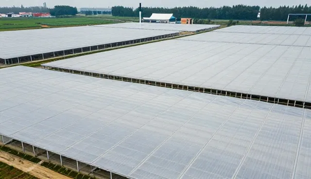 直播运营中场景应用与限制分析