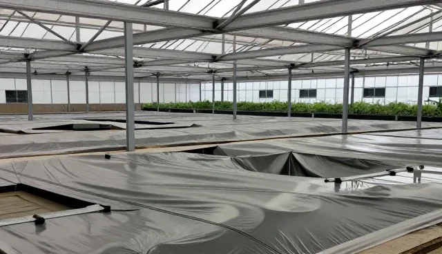 互动形式品牌策划的适用场景与限制分析